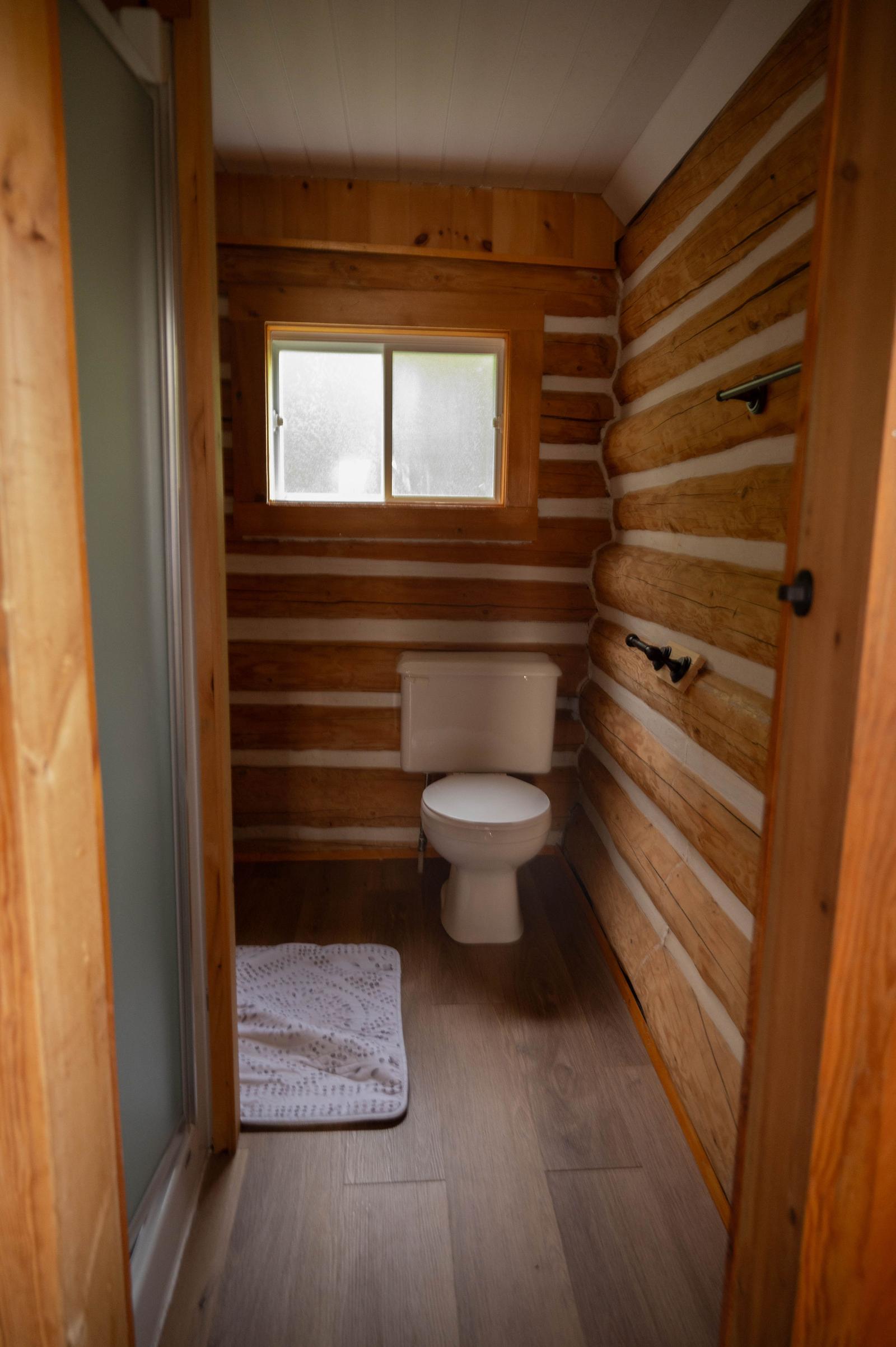Bathroom toilet and shower
